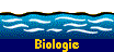  Biologie 