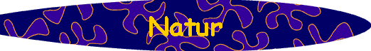  Natur 