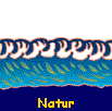  Natur 