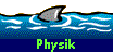  Physik 